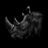 Animal 128