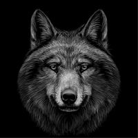 Animal 132