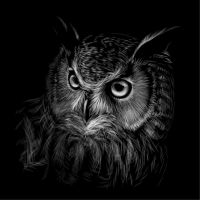 Animal 134