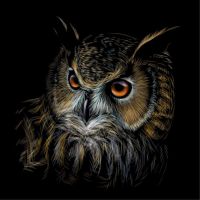 Animal 135