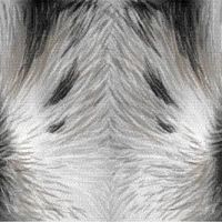 Animal 136