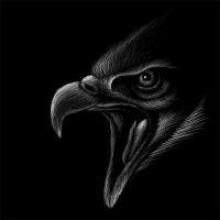 Animal 140