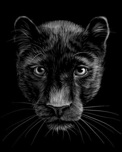 art oil painting reproduction of  Animal 149 museum quality handmade