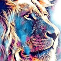 Animal 171