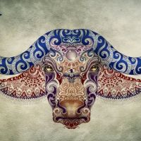 Animal 201