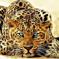 Animal 206