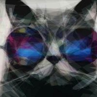 Animal 207