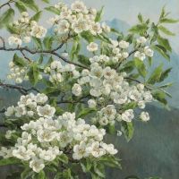 Anthonore Christensen A Flowering Pear Tree With The Alps In The Background 1891