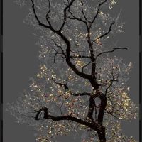Arman N 17 Dark Trees Series