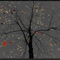 Arman N 24 Dark Trees Series