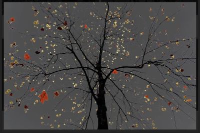 art oil painting reproduction of  Arman N 24 Dark Trees Series museum quality handmade