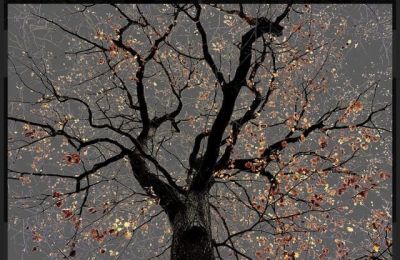 art oil painting reproduction of  Arman N 25 Dark Trees Series museum quality handmade
