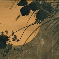 Autumn Herbs In The Moonlight
