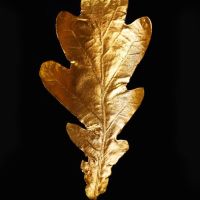 Black And Gold 11