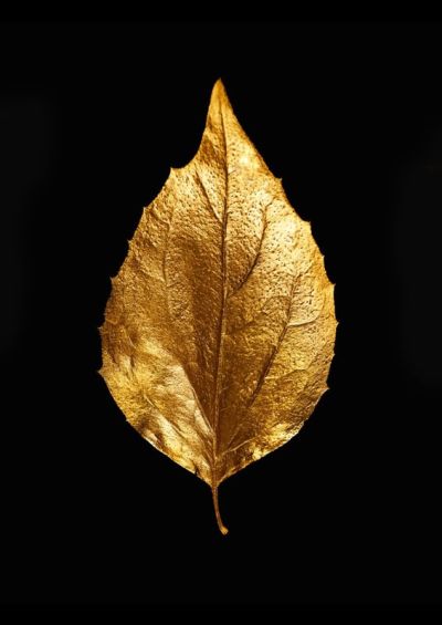 art oil painting reproduction of  Black And Gold 12 museum quality handmade