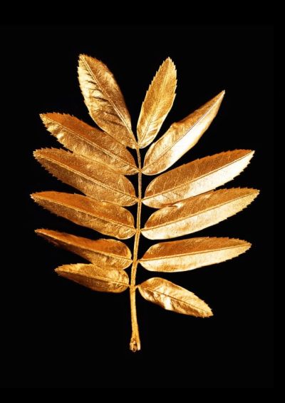 art oil painting reproduction of  Black And Gold 13 museum quality handmade