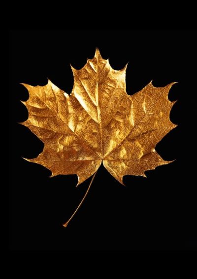 art oil painting reproduction of  Black And Gold 2 museum quality handmade