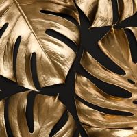 Black And Gold 57