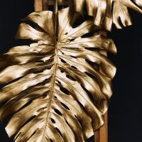 Black And Gold 58