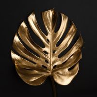 Black And Gold 60
