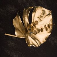 Black And Gold 61