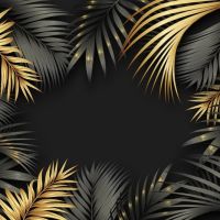 Black And Gold 66