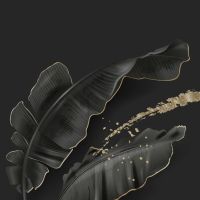 Black And Gold 67