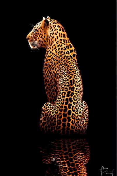 art oil painting reproduction of  Black And Gold 71 museum quality handmade