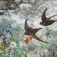Bruno Liljefors Common Swifts 1886 Hand Painted Reproduction