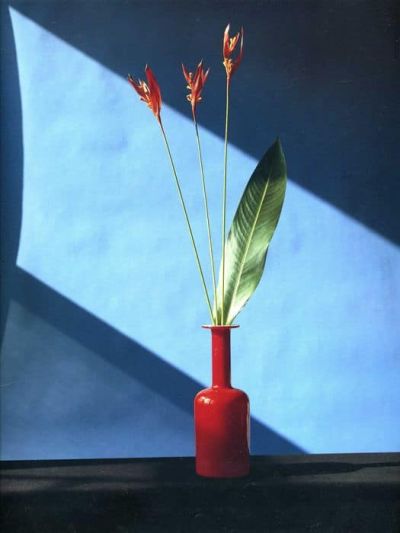 art oil painting reproduction of  Claude Di Placido Mapplethorpe 1946-1989 museum quality handmade