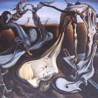 Dali Spider Of The Evening