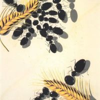Dali The Ants