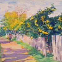 Dodge Macknight A Lane Through An Orange Grove Orihuela 1904