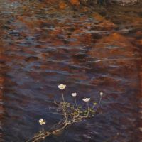 Eero Jarnefelt Pond Water Crowfoot - Pond Weed