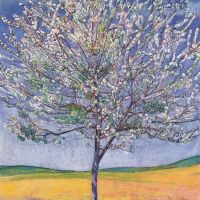 Ferdinand Hodler Cherry Tree In Bloom 1905