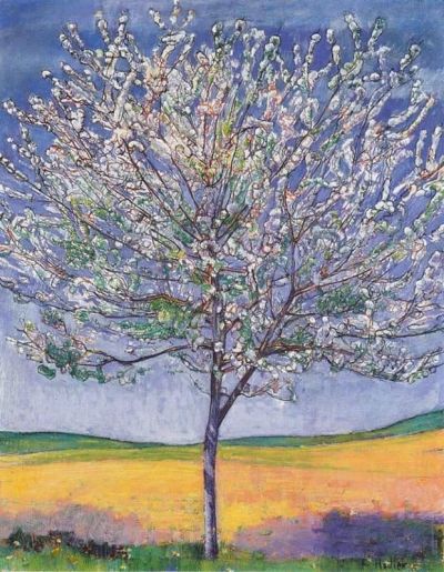 art oil painting reproduction of  Ferdinand Hodler Cherry Tree In Bloom 1905 museum quality handmade