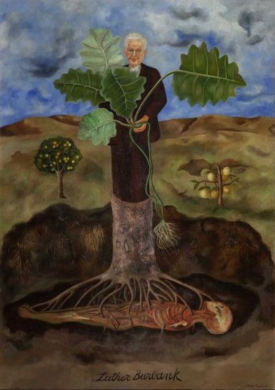 art oil painting reproduction of  Frida Kahlo Portrait Of Luther Burbank museum quality handmade