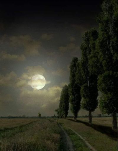 art oil painting reproduction of  Gennadiy Dneprov Moon Night museum quality handmade