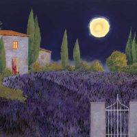Guido Borelli Lavanda Di Notte