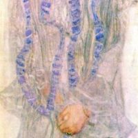 Gustav Klimt Portrait Of Gerta Loew - 1902
