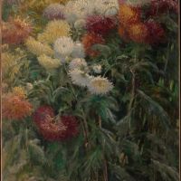 Gustave Caillebotte Chrysanthemums In The Garden At Petit-gennevilliers