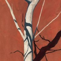 Hans Emmenegger Fig Tree In Front Of Red Soil 1911