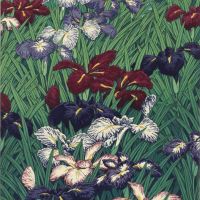 Hasui Kawase Iris - Ayame - 1929