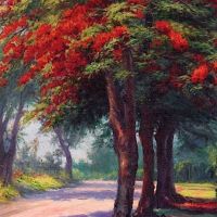 Helen Thomas Dranga Jacaranda Tree