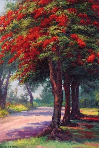 art oil painting reproduction of  Helen Thomas Dranga Jacaranda Tree museum quality handmade