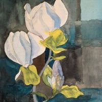 Hermann Hesse Magnolia 1928