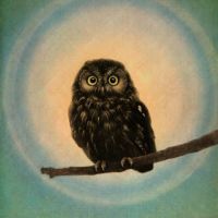 Ikai Tadashi Morning