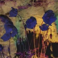 Iskra Johnson Blue Poppies For Redon Hand Painted Reproduction
