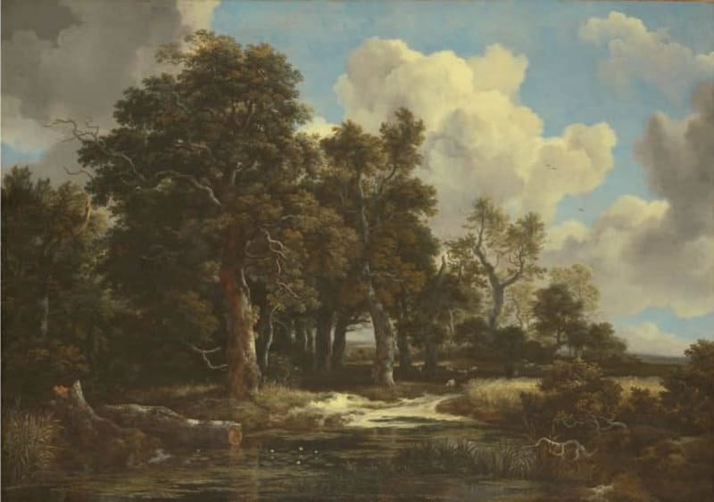 Jacob Van Ruisdael Or E De For T Avec Un Champ De C R Ales 1656 museum quality