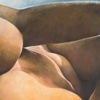 Joan Semmel Secret Spaces
